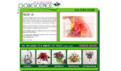 Web Sites - Florescence