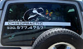 Window Graphics - Hallam Chiropractic