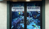 Window Graphics - ricks fish window sign