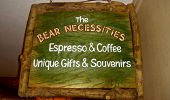 Building Signs - Bear Necessities