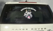 vehicle_vinyl_23