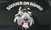 Bouvier on Board