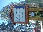 dsc00707.jpg