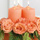 Florist Web Site Portfolio Sample